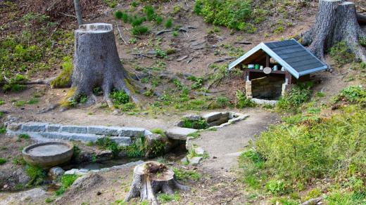 Studánka svatého Huberta na Prosečském hřebeni