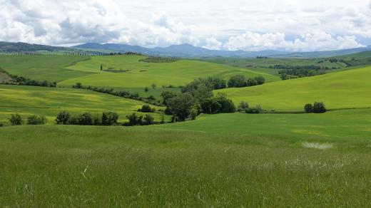 Okolí italského města Pienza
