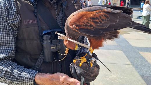 Ladislav Hokr a káně Štefan