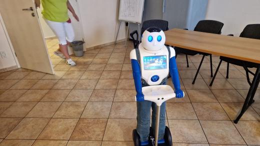 Robot Robin