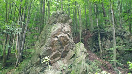 Na úbočí nad Račím potokem vyčnívají ze svahů mnohé bizarní skály