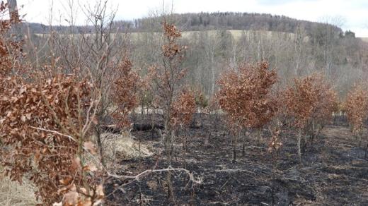 Policisté mají podezřelého ze série téměř 20 požárů na Bruntálsku a v Olomouckém kraji