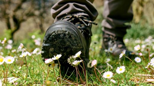 Lidská stopa v přírodě