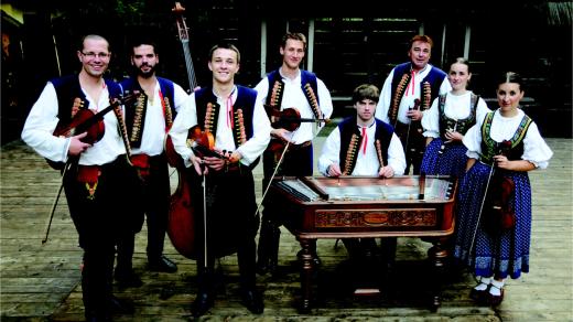 Valašský vojvoda z Kozlovic