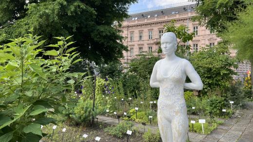 Výstava Sochy mezi květy