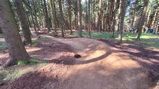 Trailové trasy pro horská kola vznikají v lesích u Prachatic