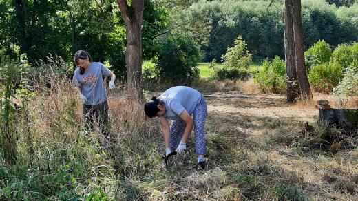 Mezinárodní skupina dobrovolníků pomáhá s obnovou zámku Veselí nad Úhlavou