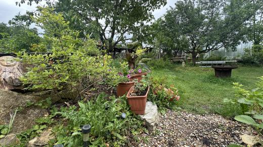 Podle manželů Malých by měla zahrada dobře nejen vypadat, ale také chutnat - pěstují proto jahody, třešně, špendlíky, jablka a další plodiny