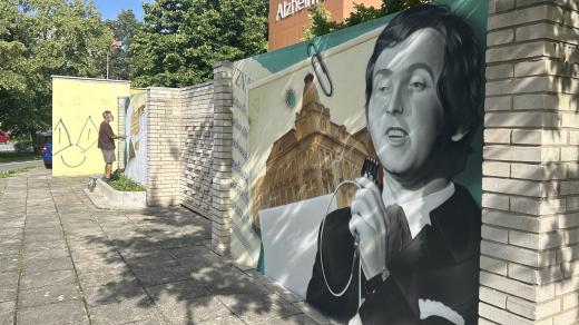 Portrét zpěváka Pavla Nováka