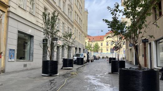 Obří květináče na ulici Zámečnická v centru Brna
