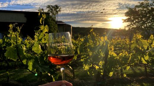 Sladký putňový Tokaj má mít jantavovou barvu. Podle toho se pozná kvalita, říká someliér Martin