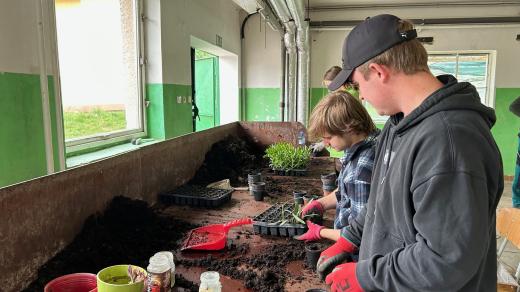 Budoucí zahradníci, studenti střední školy v Kopidlně, se už vrací do školy. Nikoli do lavic, ale do skleníků, parků a mezi záhony