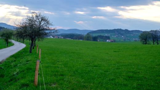 Blanský les na Českobudějovicku