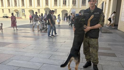 Fenka Ara s psovodem Vojtěchem Hovorkou