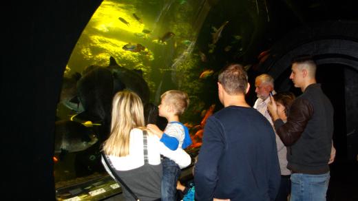 V Obřím akváriu v Hradci Králové