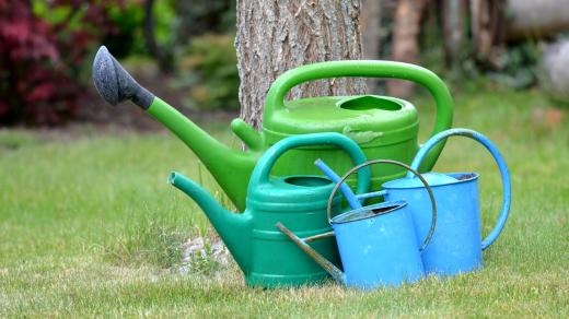 Kdo má malou zahradu, vystačí si při zalévání s konvemi
