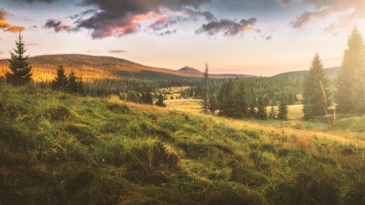 Šumava