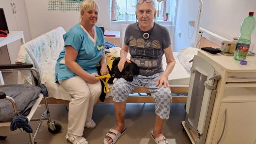 Černý labradorský retrívr Dejl působí v plzeňském Hospici svatého Lazara jako psí terapeut