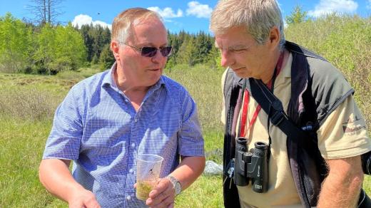Vědci na rašeliništi na Šumavě, kde žije žije vzácný střevlík Ménétriésův
