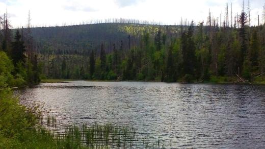 Jezero Laka
