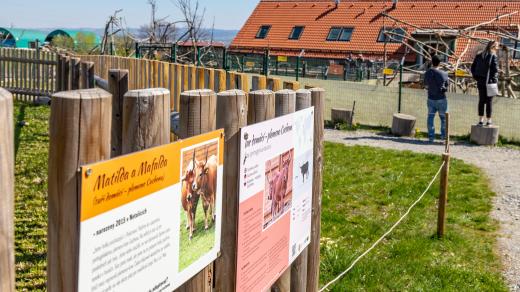 Zoologická zahrada v Táboře