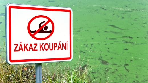 Zákaz koupání (ilustrační foto)