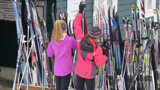 Běžkaři (ilustrační foto)