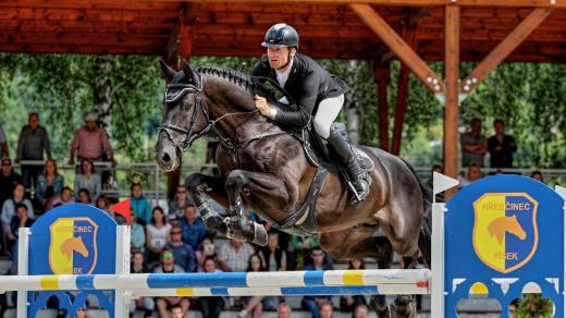 Plemenný hřebec Warness, který vyrůstal v hřebčinci v Písku, bude reprezentovat Českou republiku na olympiádě