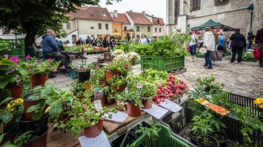 Farmářský trh na Piaristickém náměstí v Českých Budějovicích