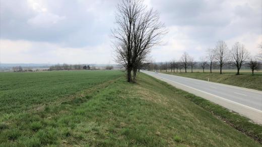 Na tomto místě u Neplachova na Českobudějovicku má vzniknout dálniční odpočívadlo