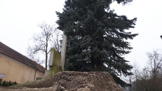 Vánoční strom, Kamenice nad Lipou