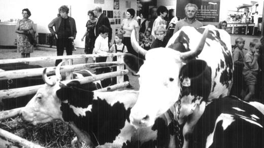 Země živitelka (nedatováno)