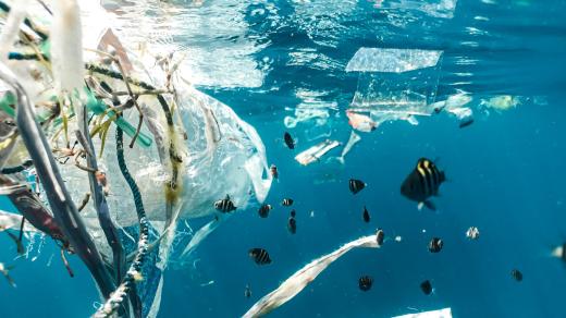 plasty ve vodě, znečistění moří a oceánů