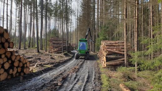 Odklízení následků vichřice v lesích na Dačicku