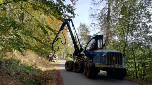 Reportáž z kácení stromů u Českých Žlebů na Prachaticku