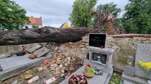 Následky bouřky v Pištíně na Českobudějovicku. Vítr shodil lípu na hřbitov, poškozených je několik hrobů