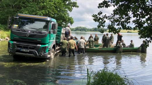 Letní odlov ryb na rybníku Velký Luský na Českobudějovicku