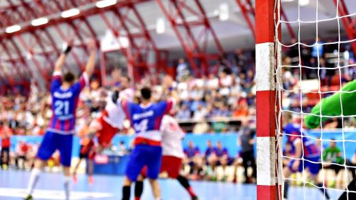 Házená, branka, diváci, sportovní hala, ilustrační foto