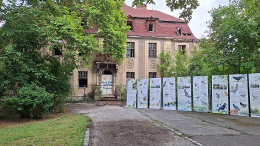 Městská část Prahy 6 částečně zpřístupnila zámek Veleslavín veřejnosti. Konají se zde různé akce, od výstav po společenská setkání