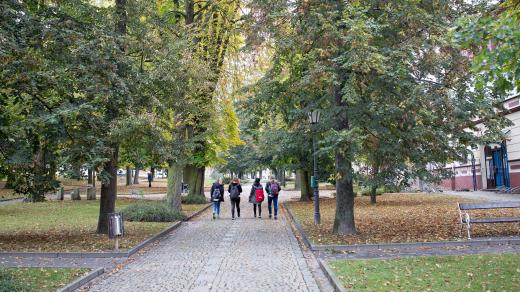 Husovy sady, Jindřichův Hradec, park, lavičky, stromy