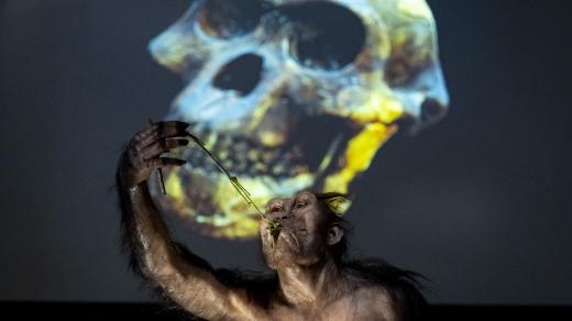 Národní muzeum vystavuje ostatky prehistorické Lucy, která je cca 3 mld starým pozůstatkem původních lidí.