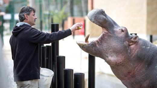 Majitel Zoo Dvorec Viktor Ambrož a hroch obojživelný