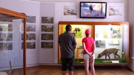 Lovecký zámek Ohrada u Hluboké nad Vltavou, Národní zemědělské muzeum Ohrada, výstava o lesnictví