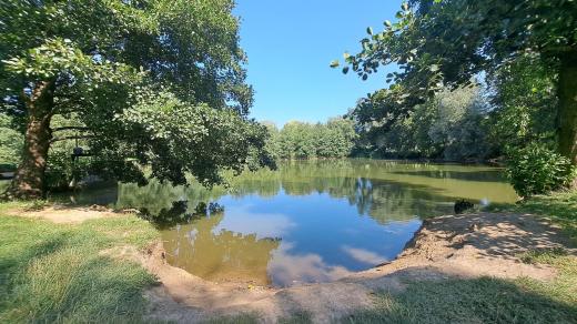 Vinohradský rybník, Uherský Brod