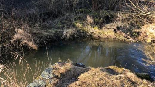 Údolí Kozského potoka u Kozího Hrádku na Táborsku