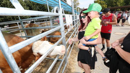 Agrosalon Země živitelka na výstavišti v Českých Budějovicích