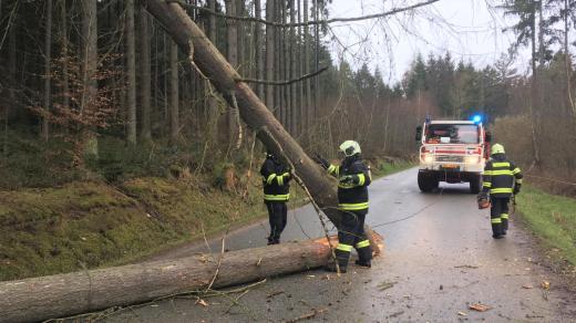 Hasiči odklízení spadlý strom po vichřici u obce Ločenice na Českobudějovicku