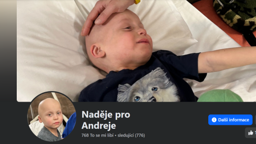Podvodná sbírka Naděje pro Andreje