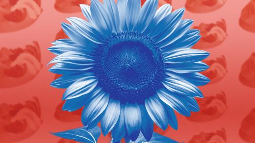 Jak Ukrajinci vnímají pokus Trumpa vyjednat s Putinem mír na Ukrajině a jak teď vnímají své propojení s EU