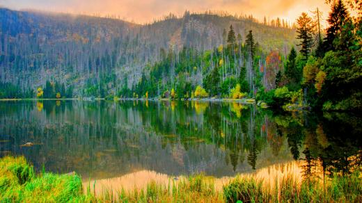 Plešné jezero na šumavě